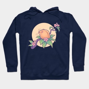 Fuzzy Peach Hamster Hoodie